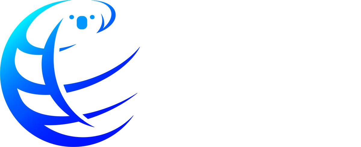 考拉出海 Koala Global